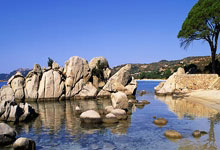 开云体育在线-欧冠次元裂痕！掘金高原主场迎战斑马军团，积分榜今夜或将颠覆