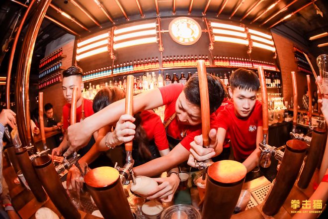 埃及拳击冠军奋力一搏,助力团队的简单介绍 埃及拳击冠军奋力一搏,助力团队的简单介绍