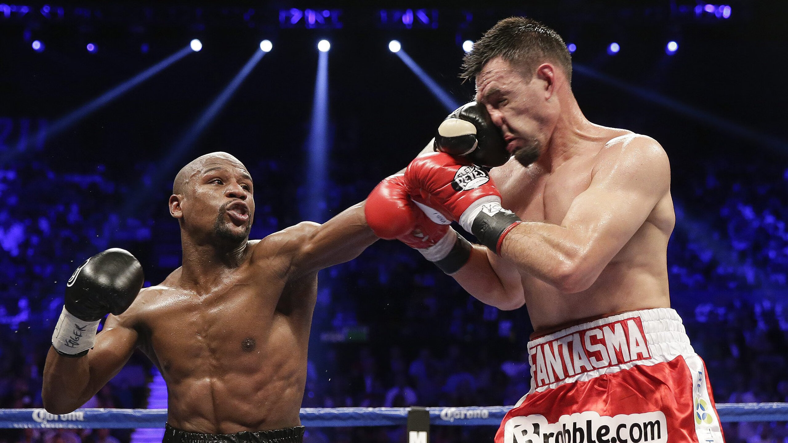 鹈鹕展翅踏平雄鹿,塔图姆节奏掌控定乾坤