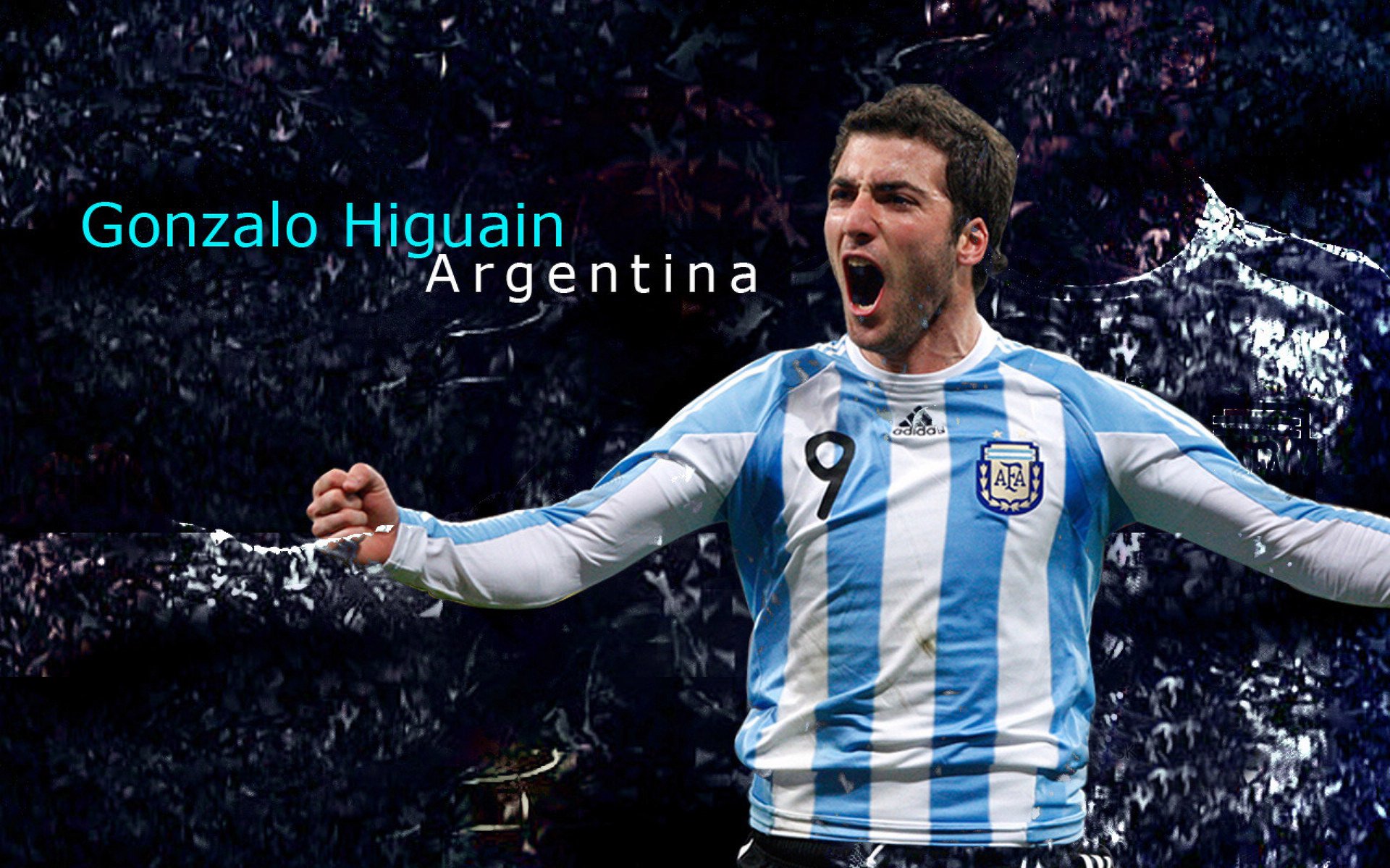 哈利伯顿的魔法与黄蜂的荆棘,一场关于唯一性的攻防启示录