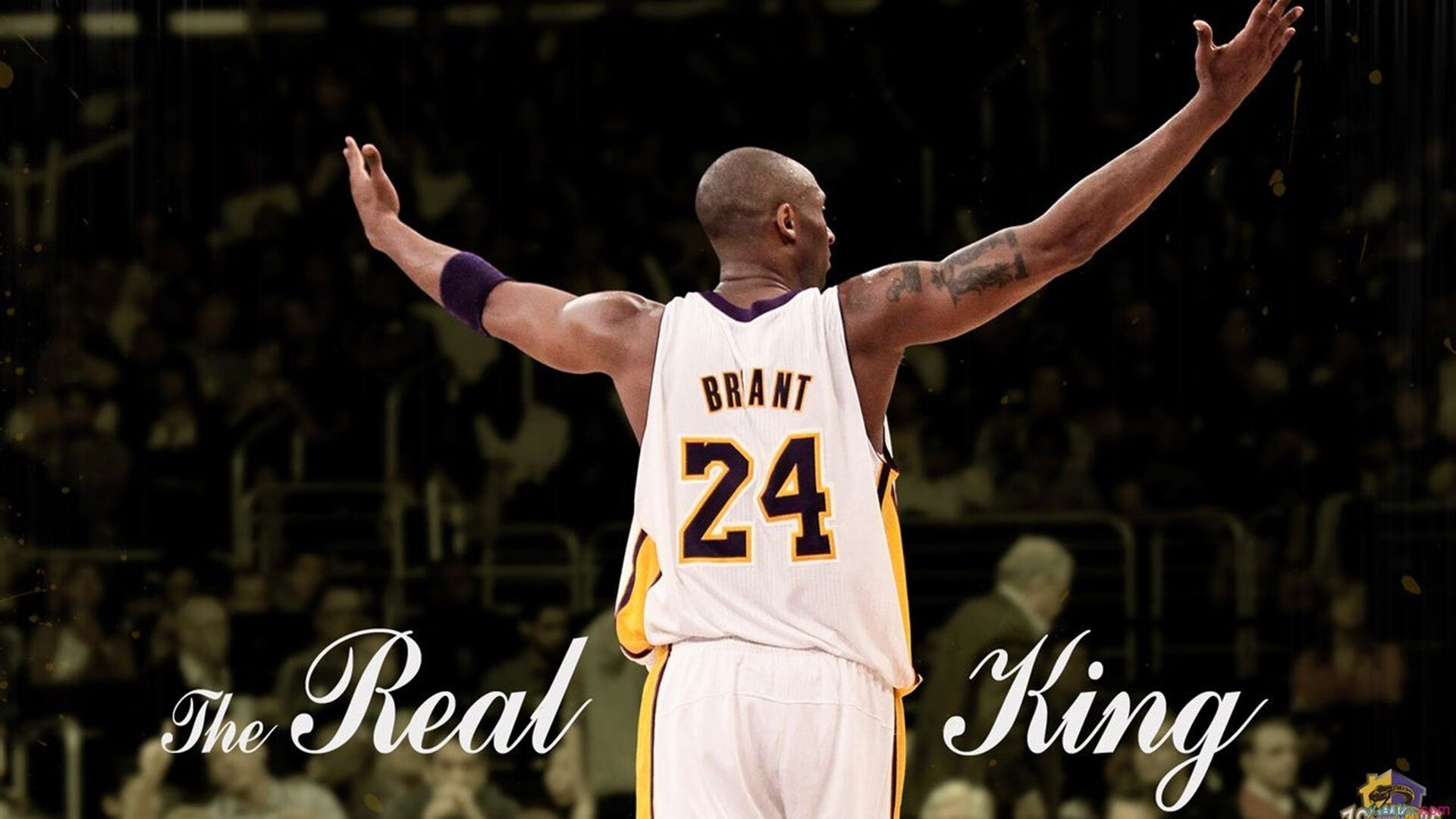 开云体育登录-羊城飞将再展雄风，易建联里程碑之夜助广州轻取浙江